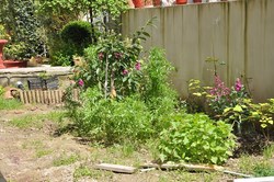 Φωτογραφίες από τους χώρους του ξενοδοχείου