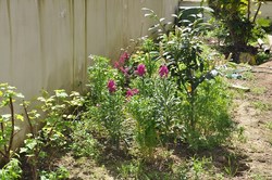 Φωτογραφίες από τους χώρους του ξενοδοχείου