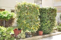 Φωτογραφίες από τους χώρους του ξενοδοχείου