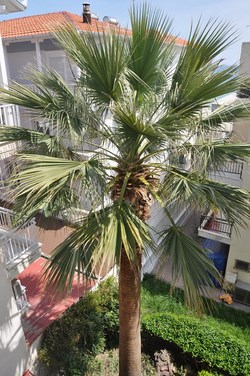 Φωτογραφίες από τους χώρους του ξενοδοχείου