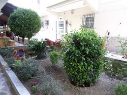 Φωτογραφίες από τους χώρους του ξενοδοχείου