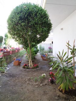 Φωτογραφίες από τους χώρους του ξενοδοχείου